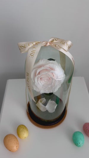Soft Pink Rose Dome